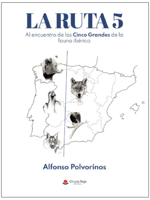 Texto alternativo