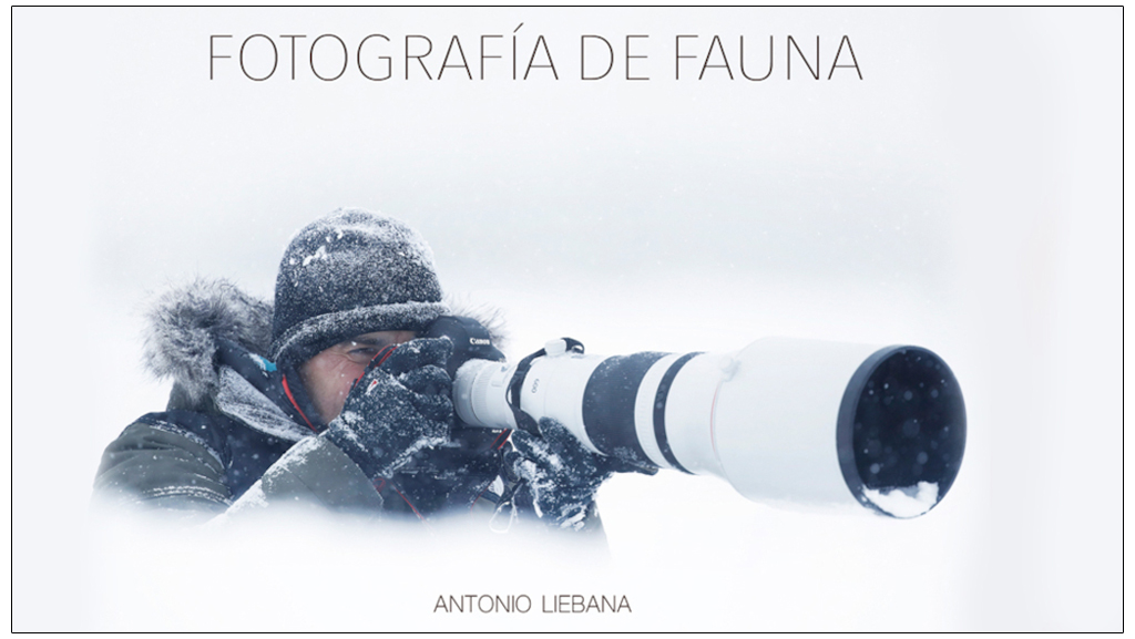 Texto alternativo