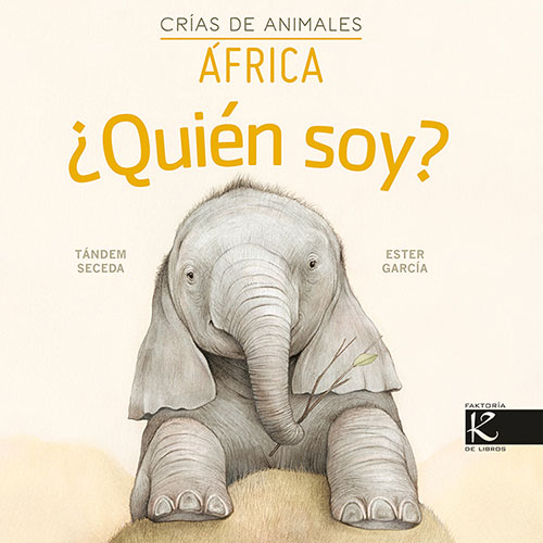 Texto alternativo