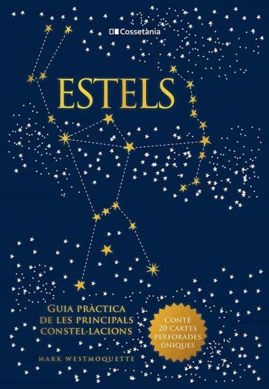 Texto alternativo