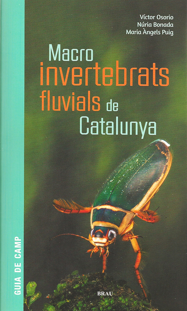 Texto alternativo