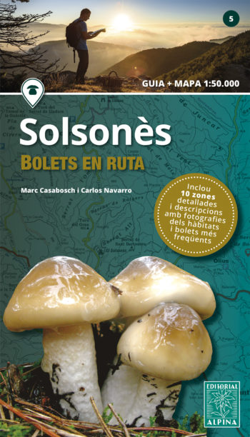 Texto alternativo