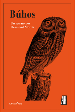 Texto alternativo