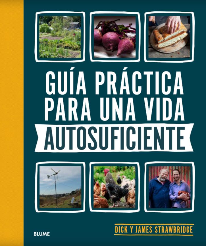 Texto alternativo