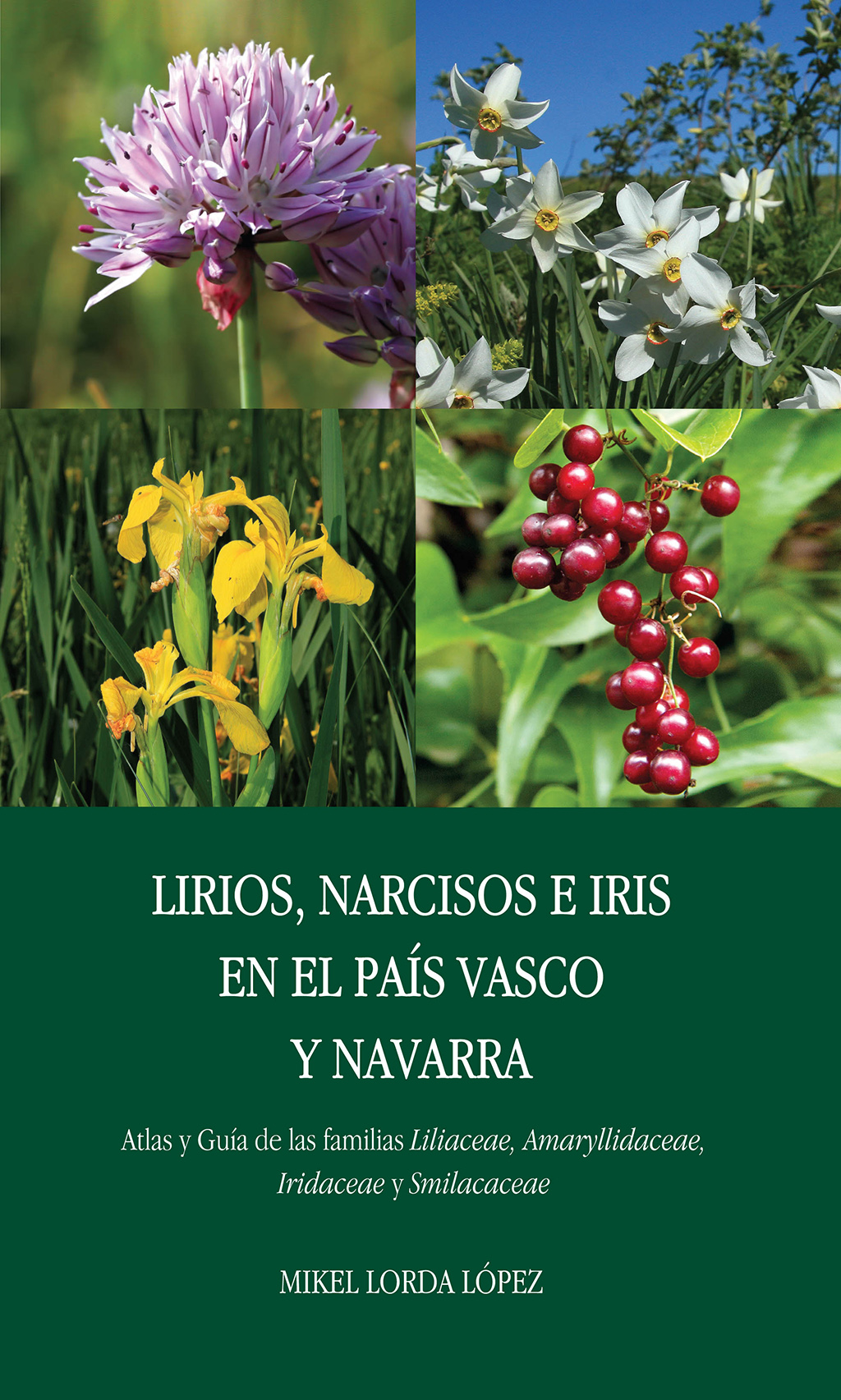 Texto alternativo