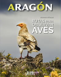 Texto alternativo