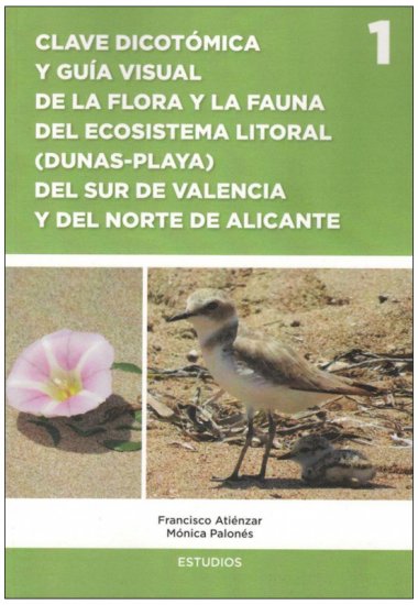 Texto alternativo