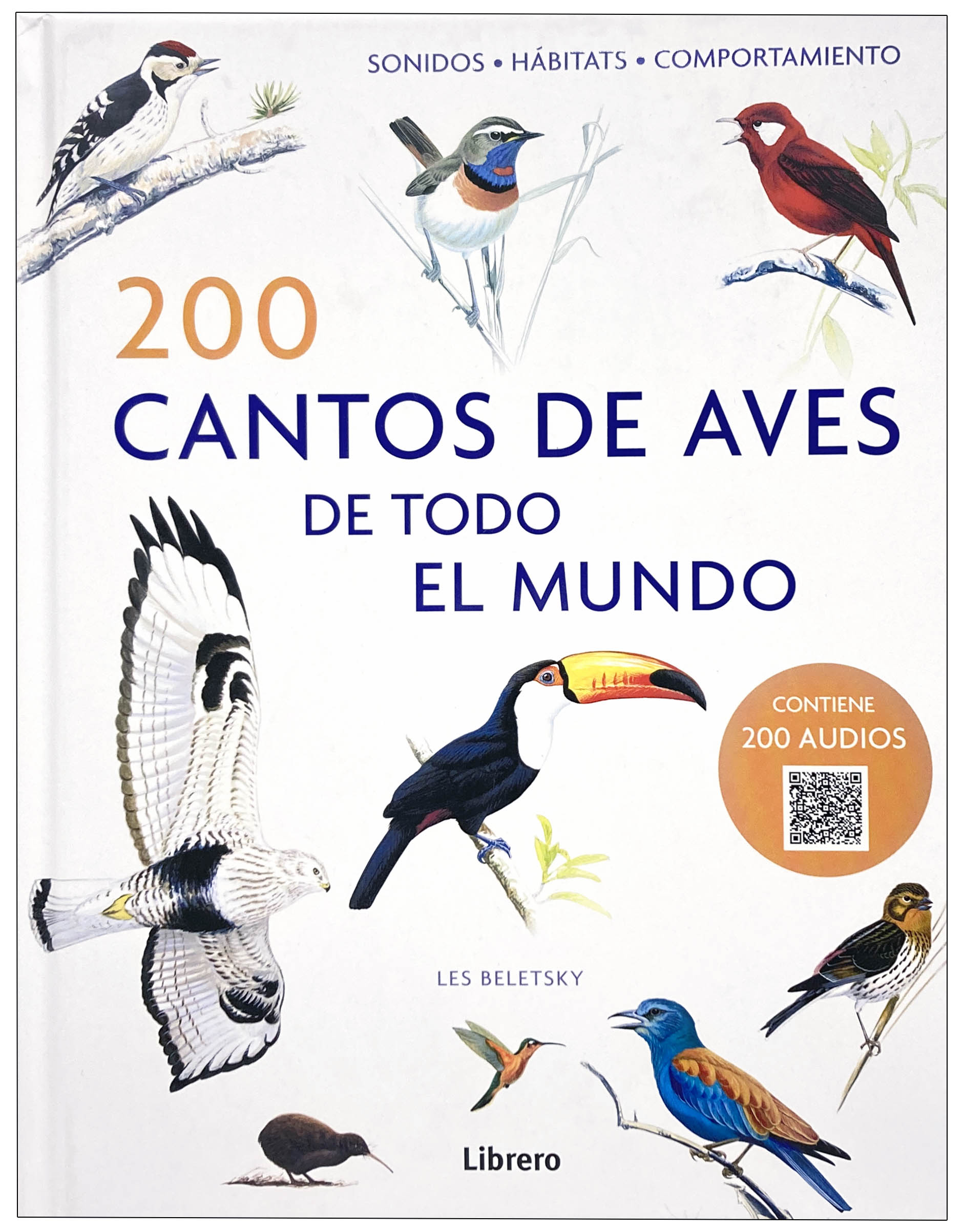 Texto alternativo