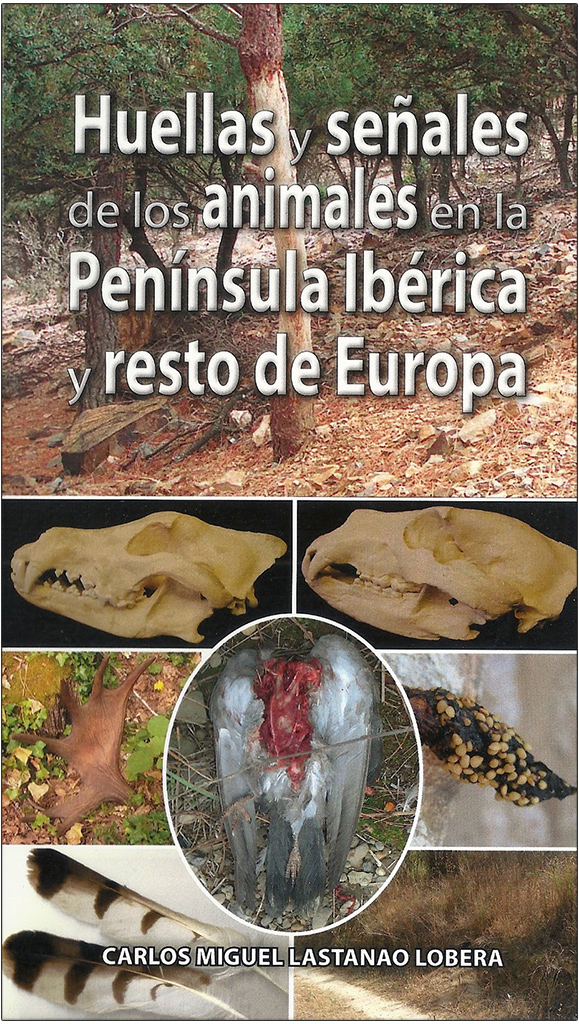 Texto alternativo