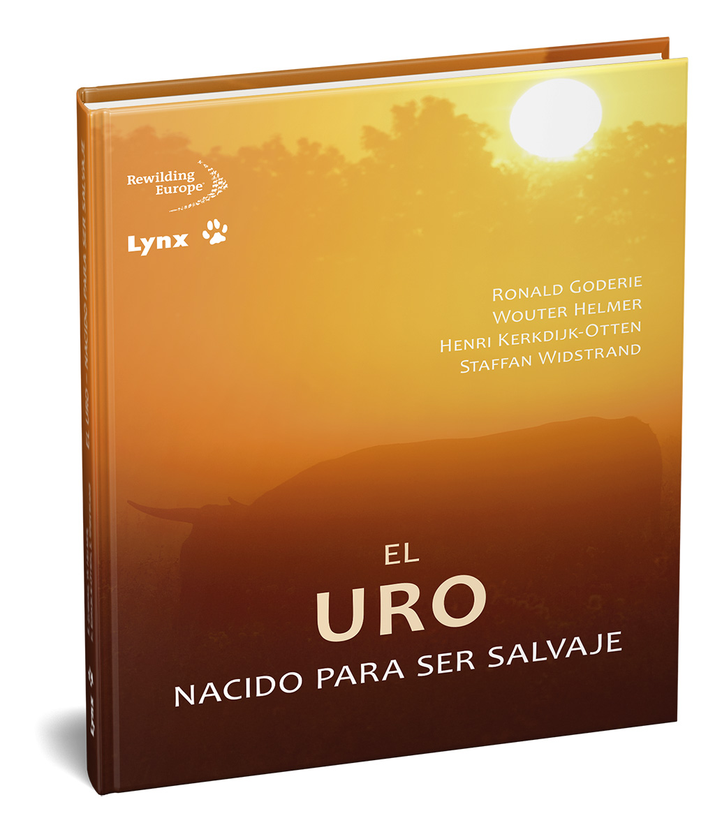 Texto alternativo