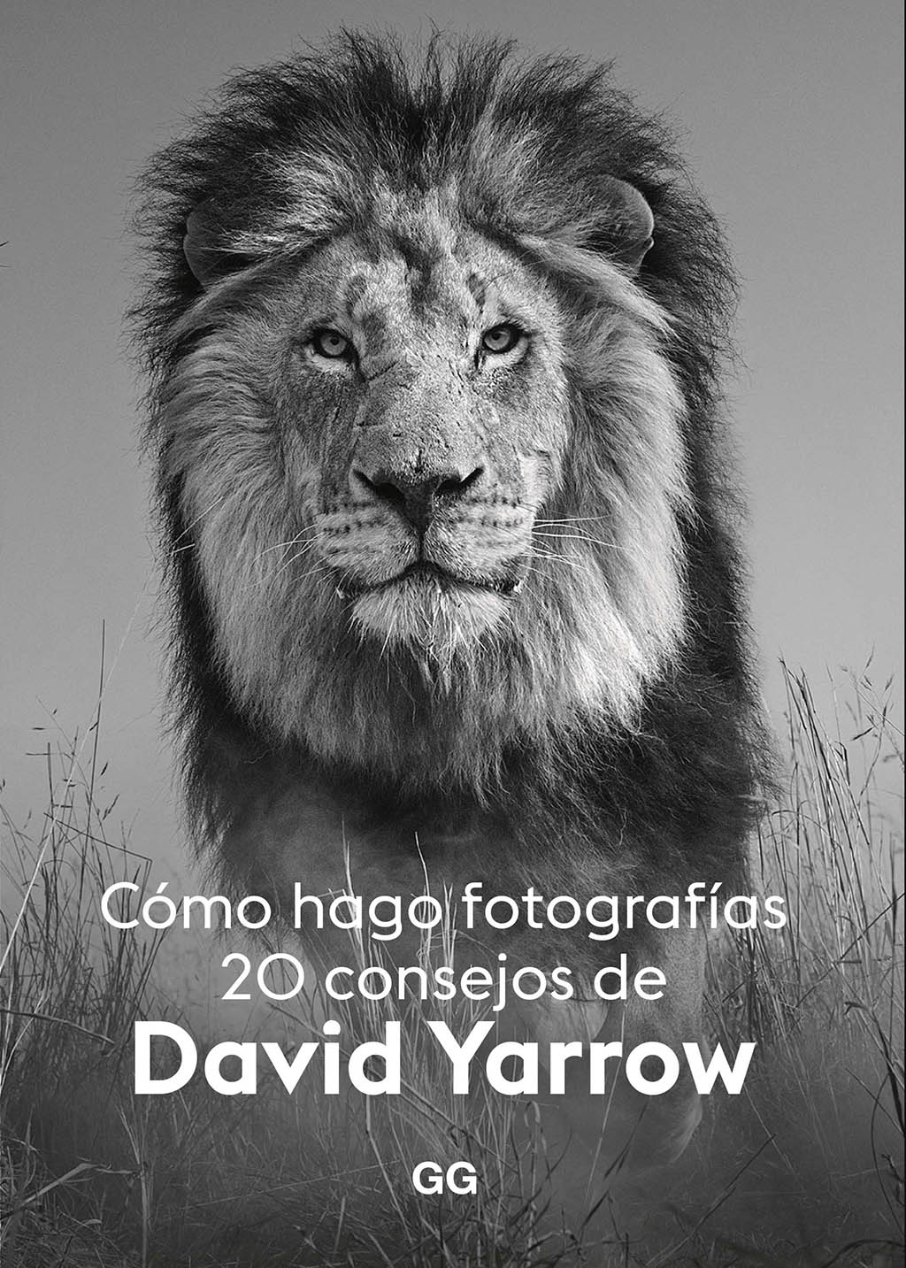 Texto alternativo
