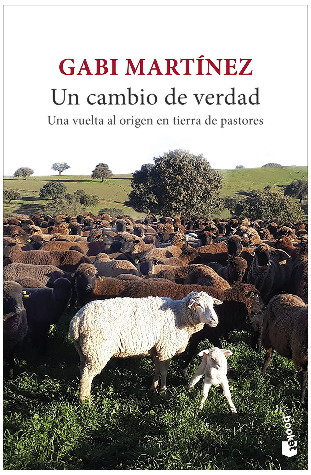 Texto alternativo