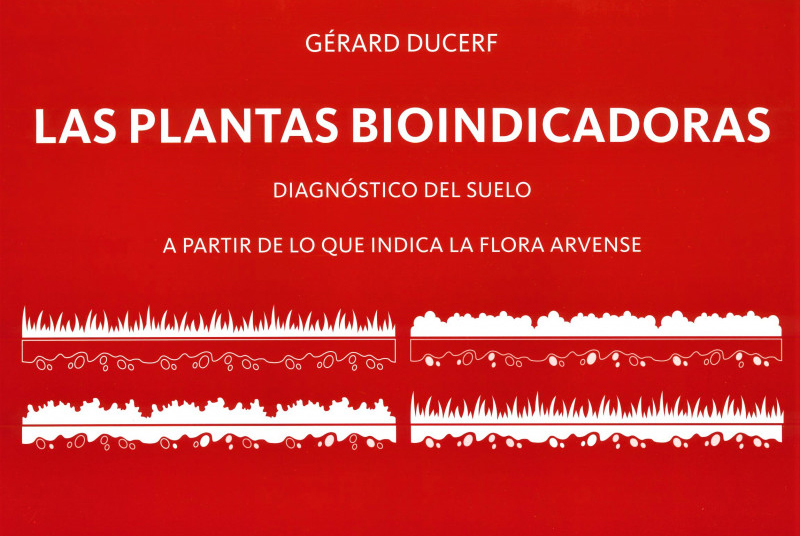 Texto alternativo