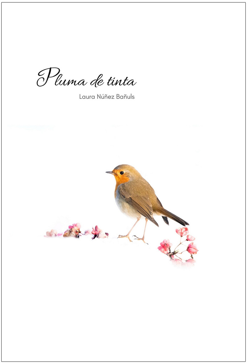 Texto alternativo