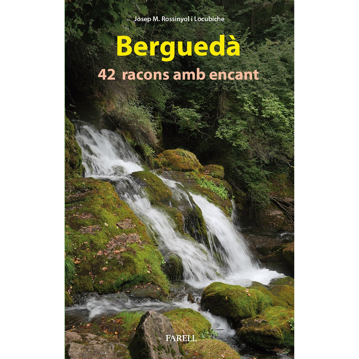 Texto alternativo
