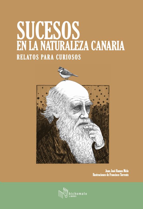 Texto alternativo