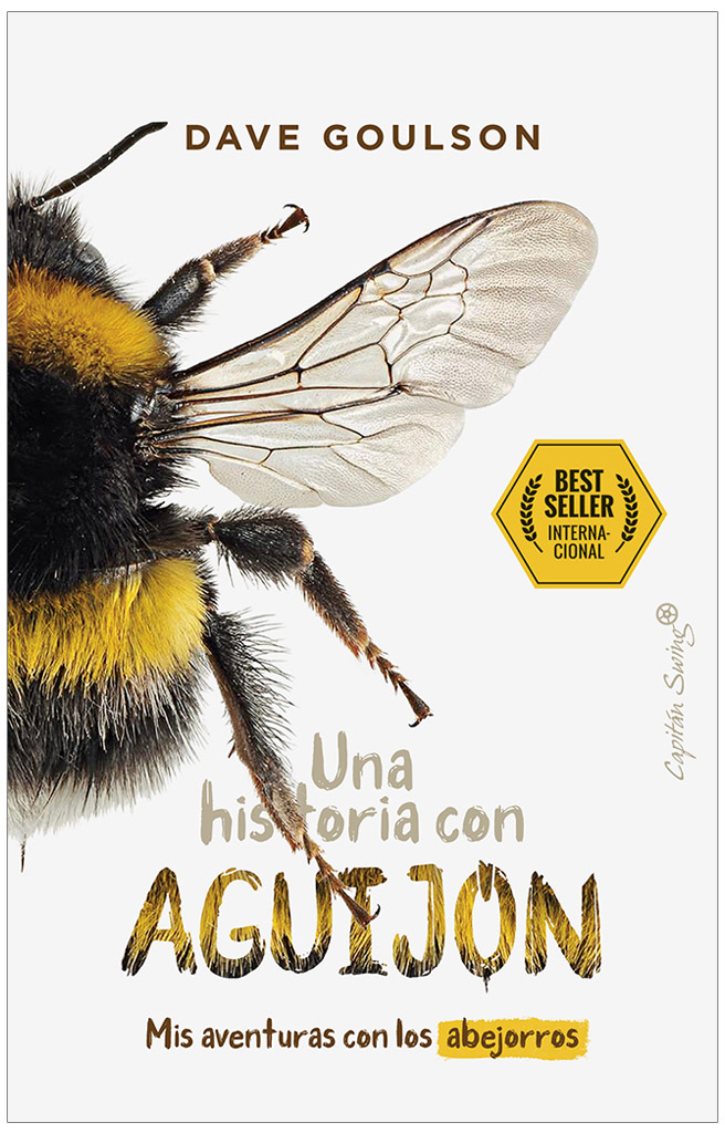 Texto alternativo
