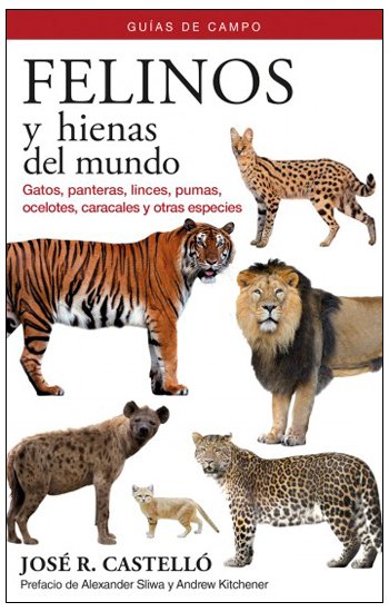 Texto alternativo