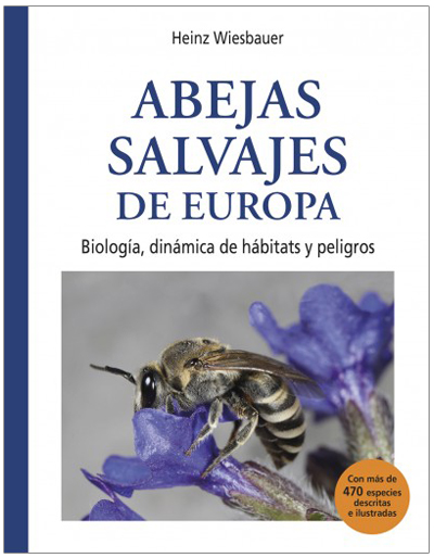 Texto alternativo