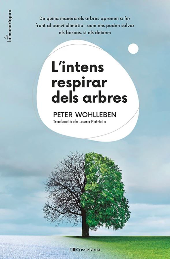 Texto alternativo