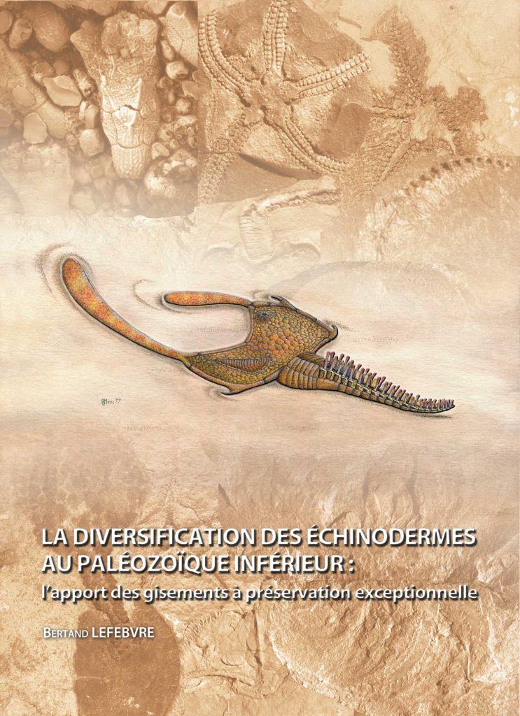 Texto alternativo