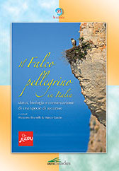 Texto alternativo