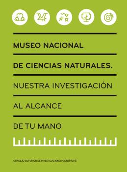 Texto alternativo