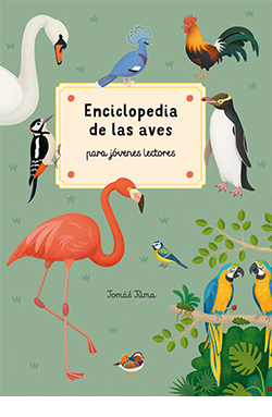 Texto alternativo