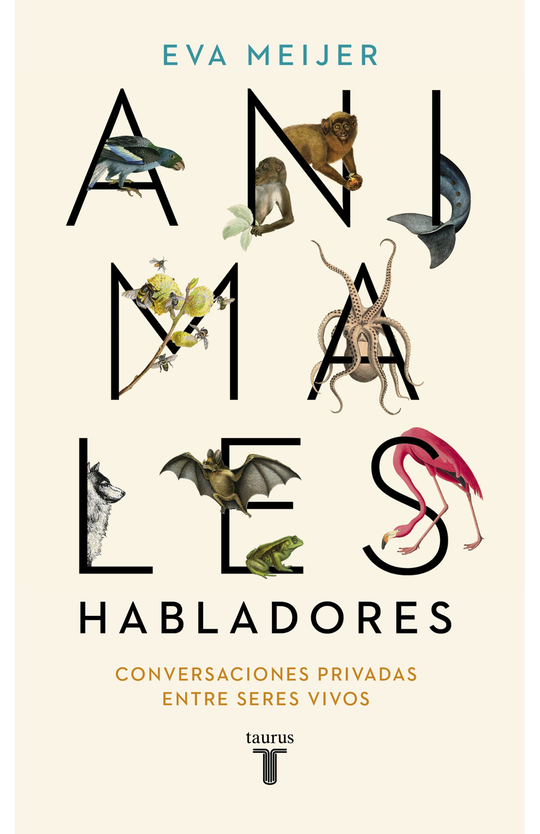 Texto alternativo