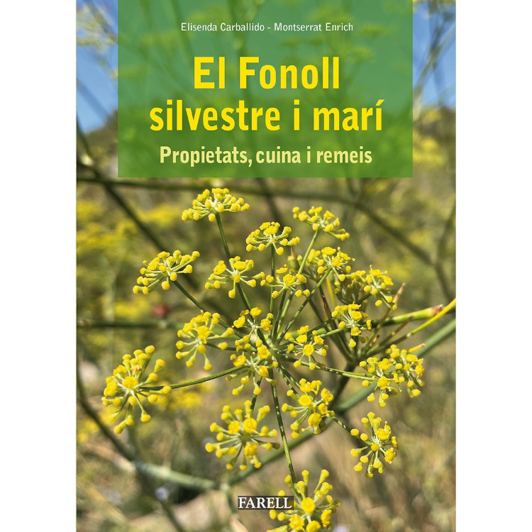 Texto alternativo