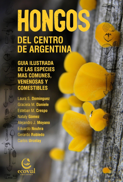 Texto alternativo