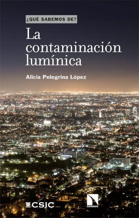 Texto alternativo