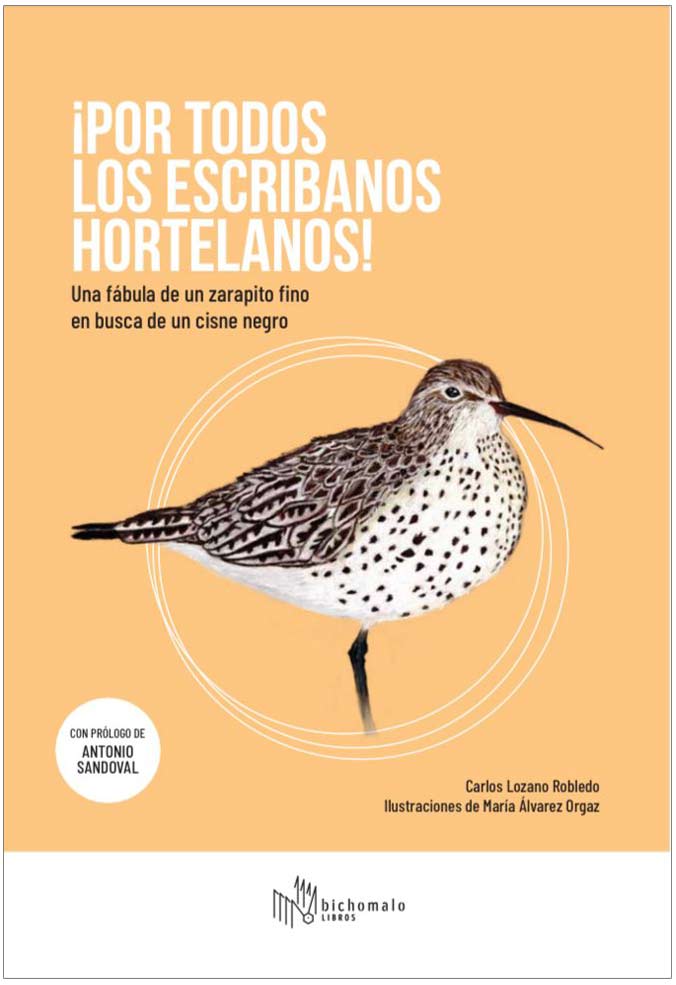 Texto alternativo