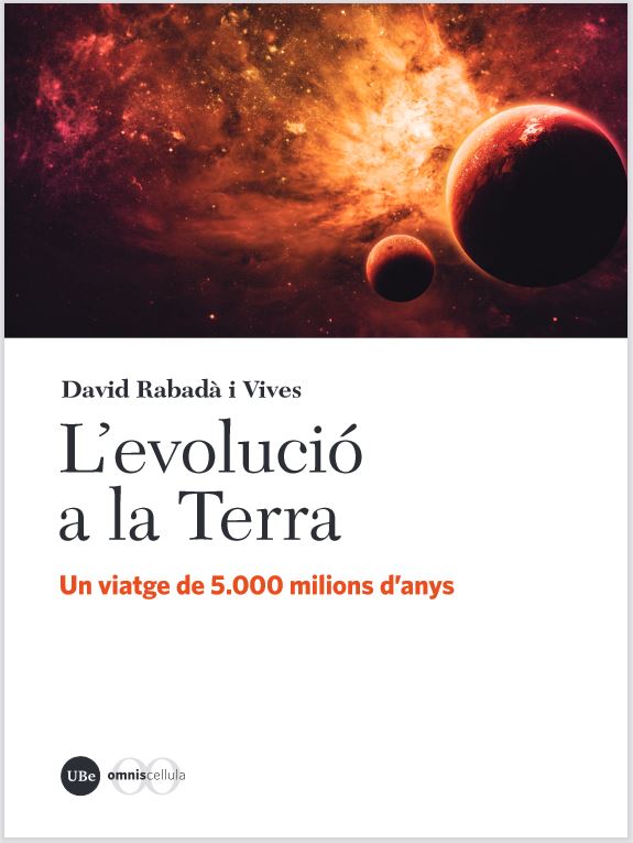Texto alternativo