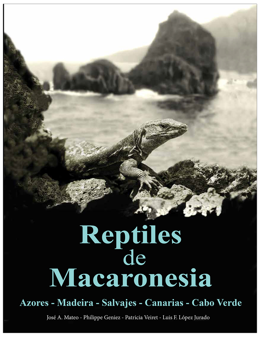 Texto alternativo