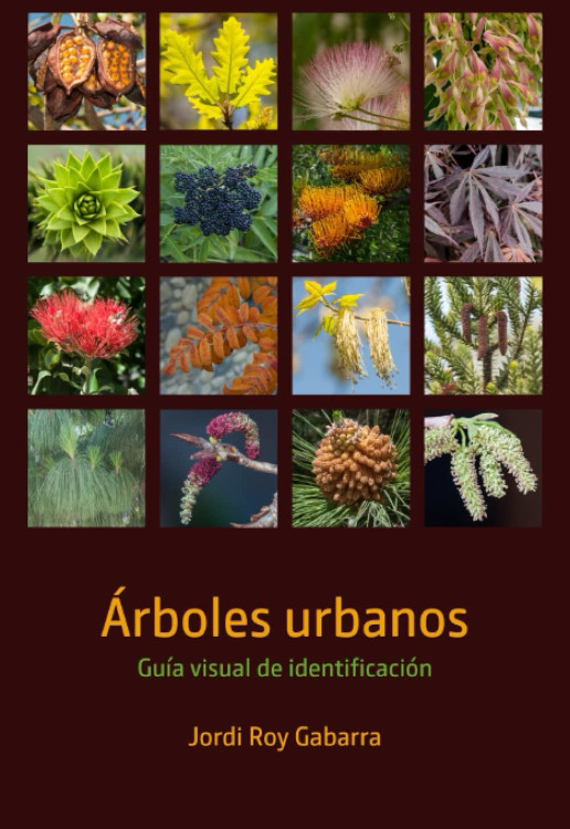 Texto alternativo