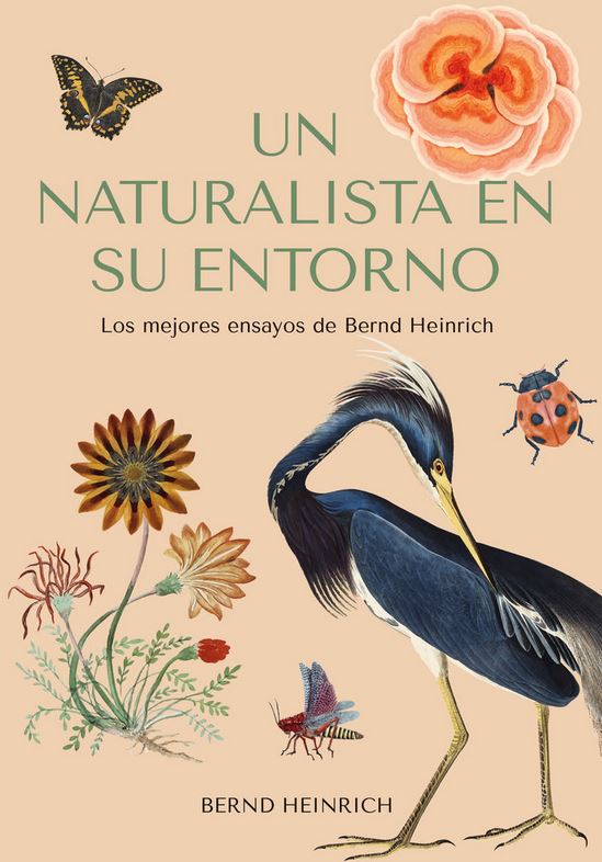 Texto alternativo