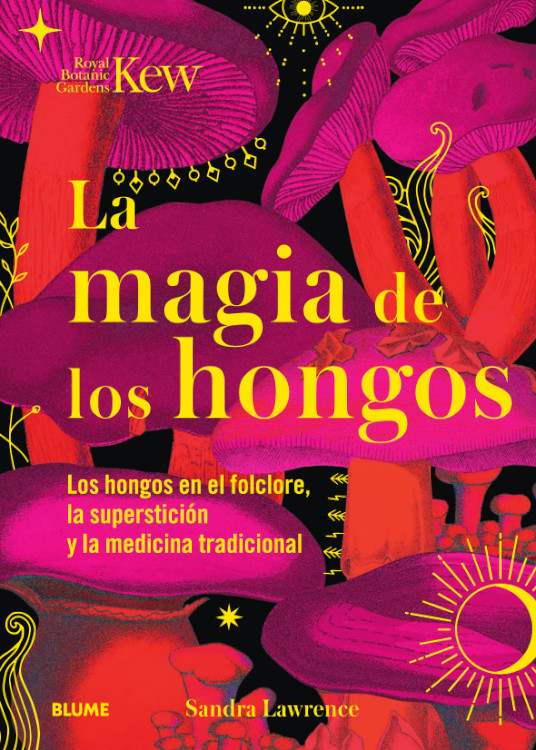 Texto alternativo