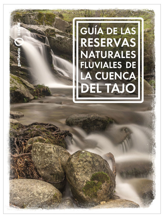 Texto alternativo