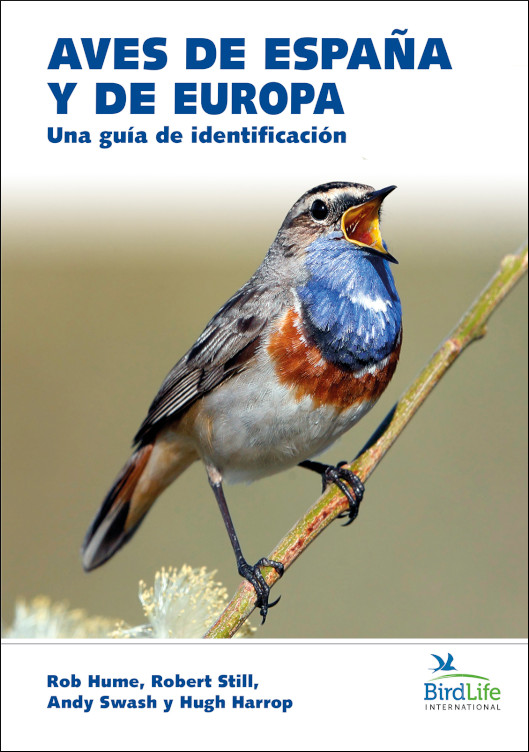 Texto alternativo