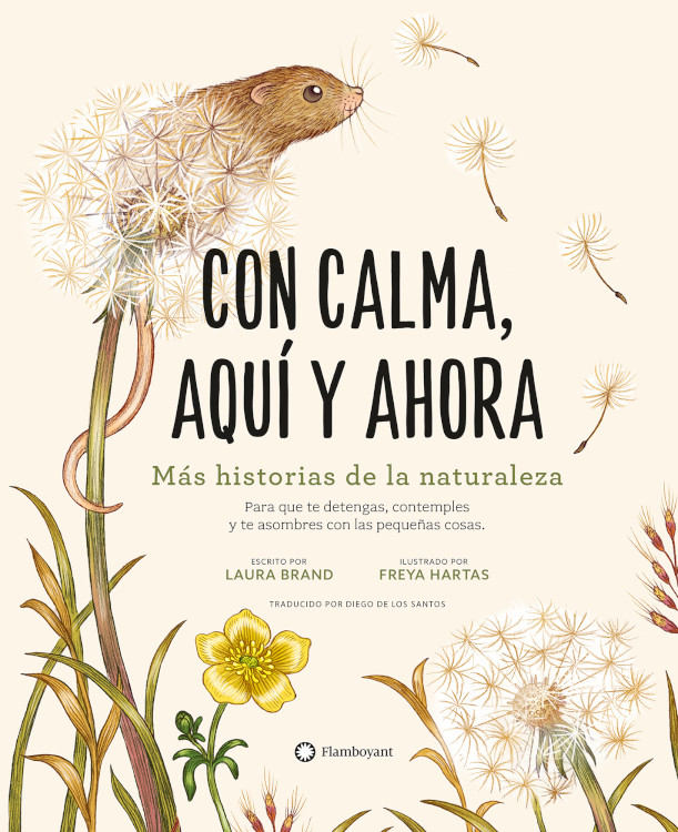 Texto alternativo