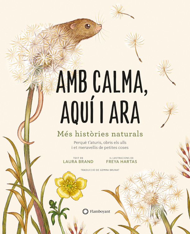 Texto alternativo