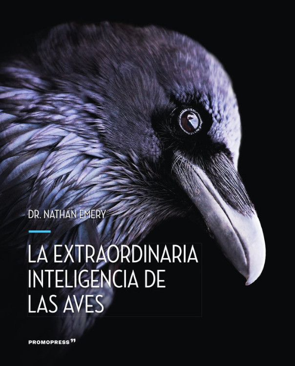 Texto alternativo