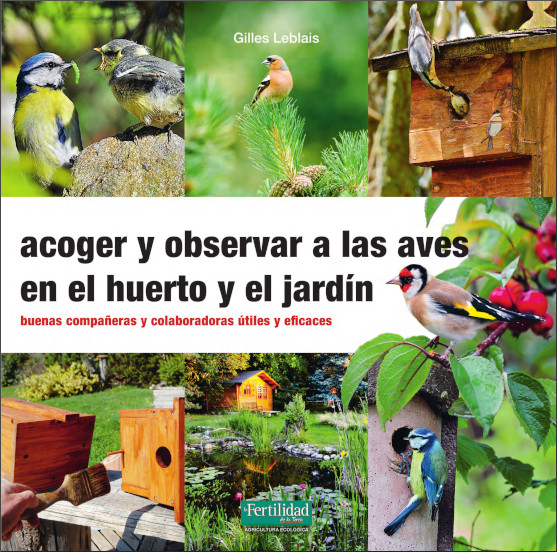 Texto alternativo