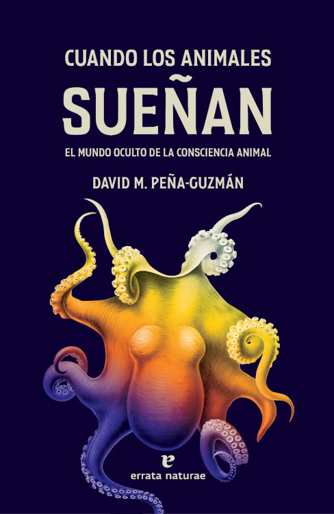 Texto alternativo