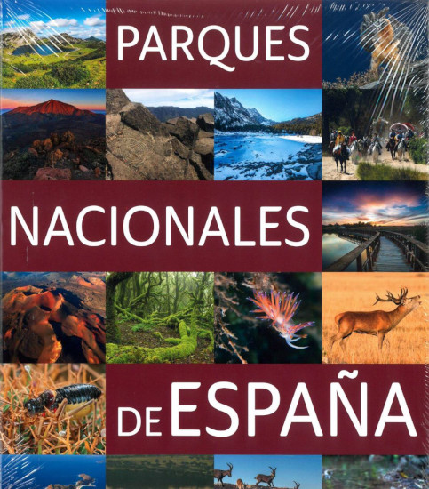 Texto alternativo