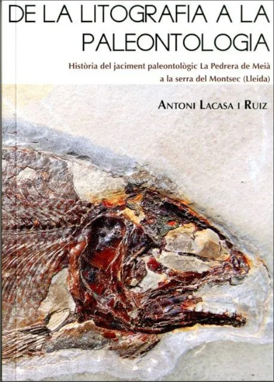 Texto alternativo