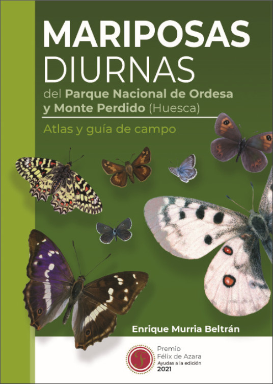 Texto alternativo