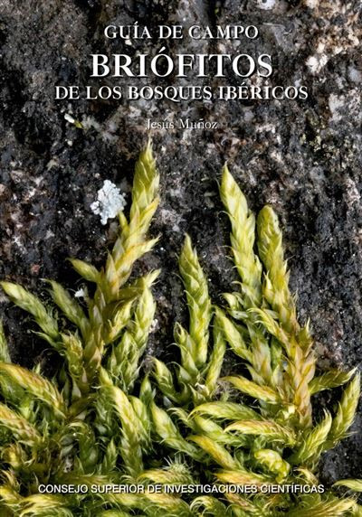 Texto alternativo