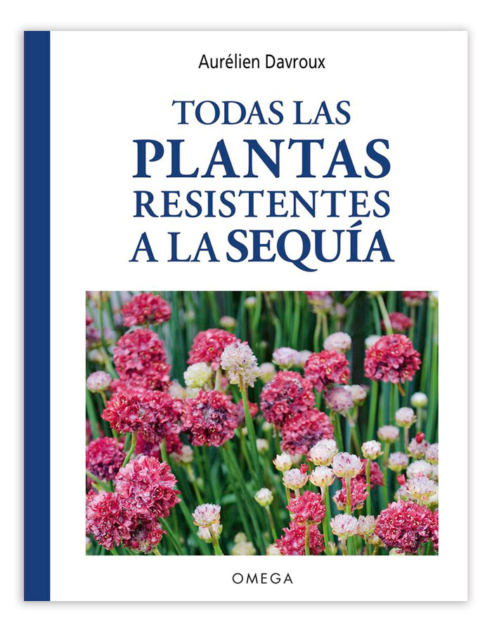 Texto alternativo